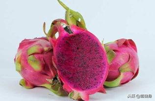 小火龙果爆料视频下载,带你一探究竟  第1张